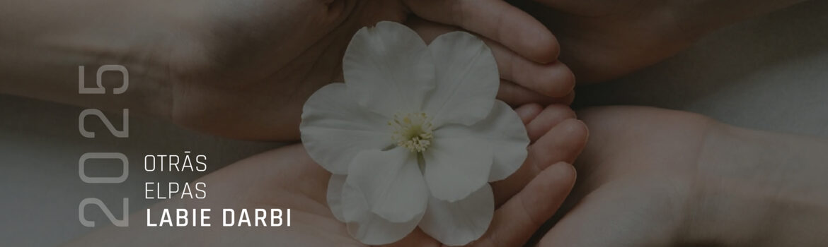 galvene_web